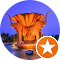 vikaram p