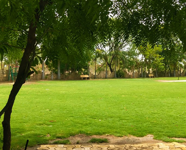 Lush Green Garden | Shanti Suman Resort | Sanand | Ahmedabad | Gujarat